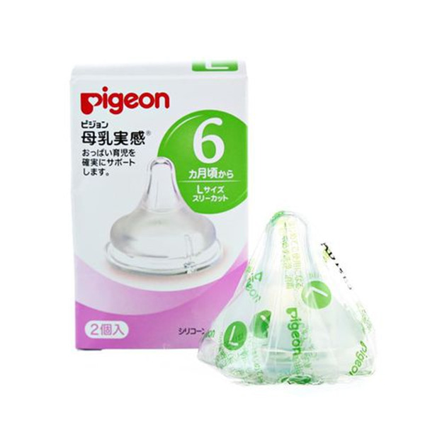 Núm ty Pigeon với nhiều ưu điểm vượt trội