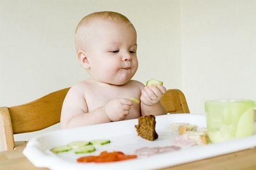 Áp dụng phương pháp BLW giúp bé nạp đủ lượng thức ăn theo nhu cầu của mình